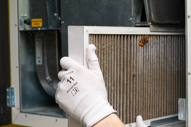 Best Affordable HVAC Duct Cleaning  in Clifton Springs, NY