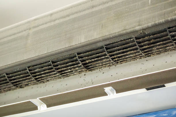 Best Commercial HVAC Duct Cleaning  in Clifton Springs, NY